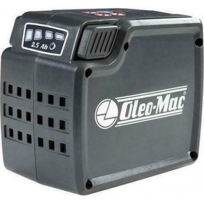 ΦΥΣΗΤΗΡΑΣ ΜΠΑΤΑΡΙΑΣ 40V SOLO OLEO-MAC BVI60