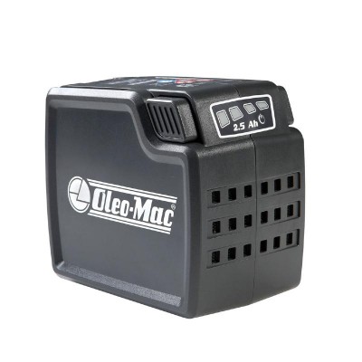 ΦΥΣΗΤΗΡΑΣ ΜΠΑΤΑΡΙΑΣ 40V SOLO OLEO-MAC BVI60