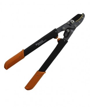 Γυναικείο ελαφρύ κλαδευτήρι Lady Looper