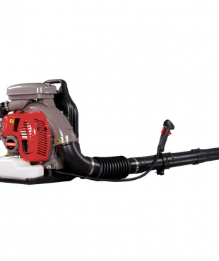 ΦΥΣΗΤΗΡΑΣ ΠΛΑΤΗΣ ΒΕΝΖΙΝΟΚΙΝΗΤΟΣ CAMPEON CEB-800 ΦΥΣΗΤΗΡΑΣ ΠΛΑΤΗΣ ΒΕΝΖΙΝΟΚΙΝΗΤΟΣ CAMPEON CEB-800